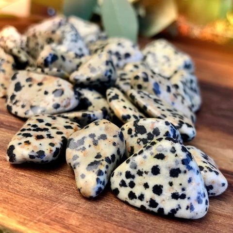 Dalmatian Jasper: Joy, Happiness and Purpose